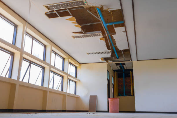 Best Commercial water damage restoration  in Josephine, TX