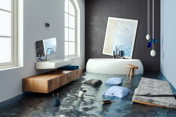 Best Water damage repair service  in Josephine, TX