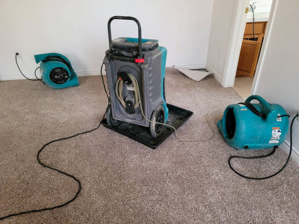 Best 24-hour water damage restoration  in Josephine, TX