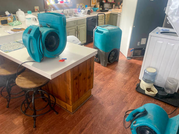 Best Residential water damage restoration  in Josephine, TX