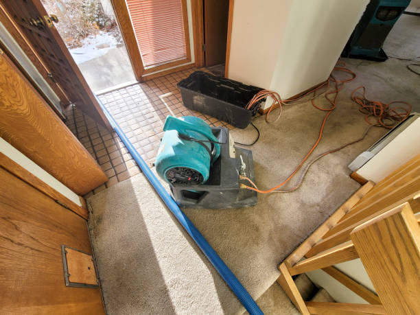 Best Residential water damage restoration  in Josephine, TX