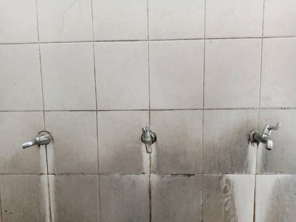 Best Professional water damage repair  in Josephine, TX