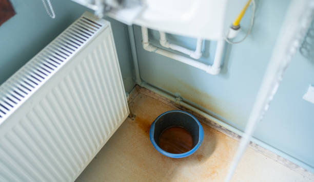 Best Carpet water damage restoration  in Josephine, TX