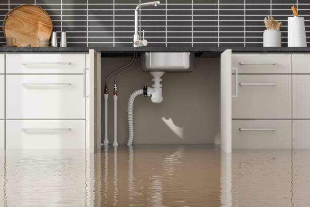 Best Emergency water extraction  in Josephine, TX