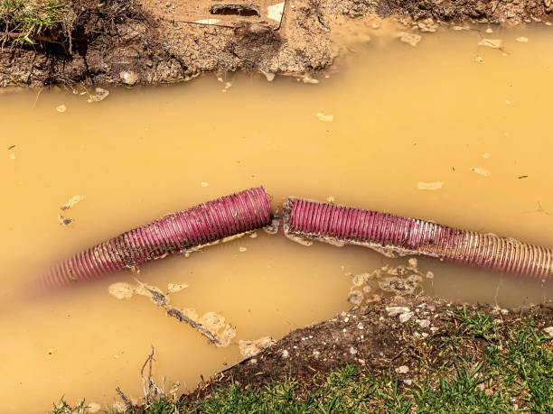 Best Water damage restoration specialists  in Josephine, TX