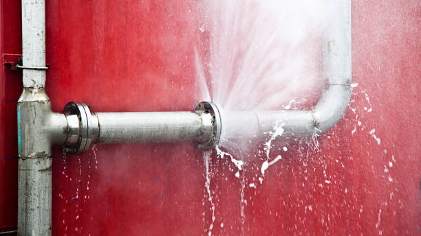 Best Flood damage cleanup  in Josephine, TX